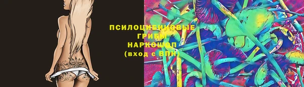 тгк Пролетарск