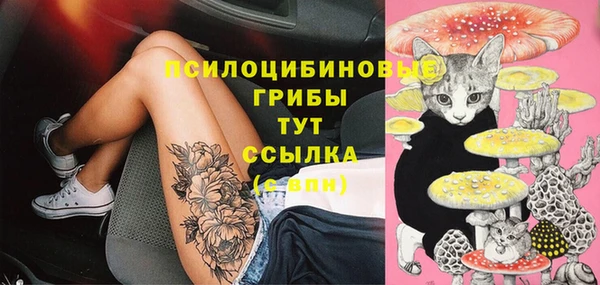 бошки Приозерск