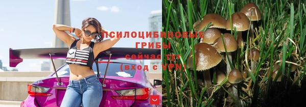 дурь Абинск