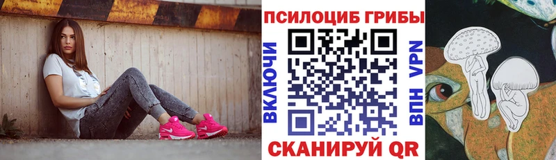 купить наркоту  Рославль  Галлюциногенные грибы мицелий 